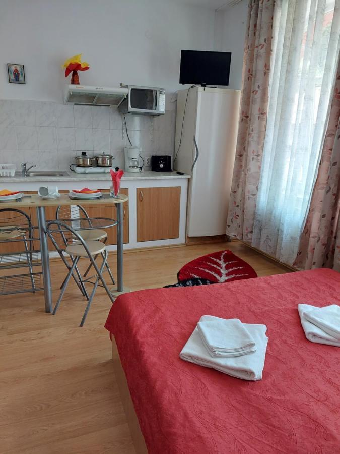 Pensiunea Rock And Red Rîşnov Exteriör bild